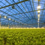 Termohigrometar-BC21-use